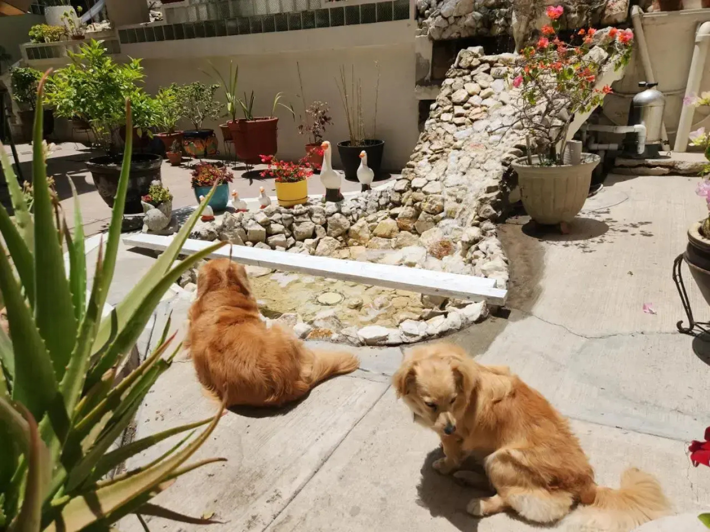 Sadie's Bed and Breakfast