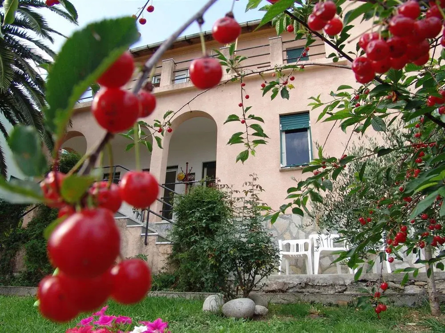 Serenesse - Bed & Breakfast