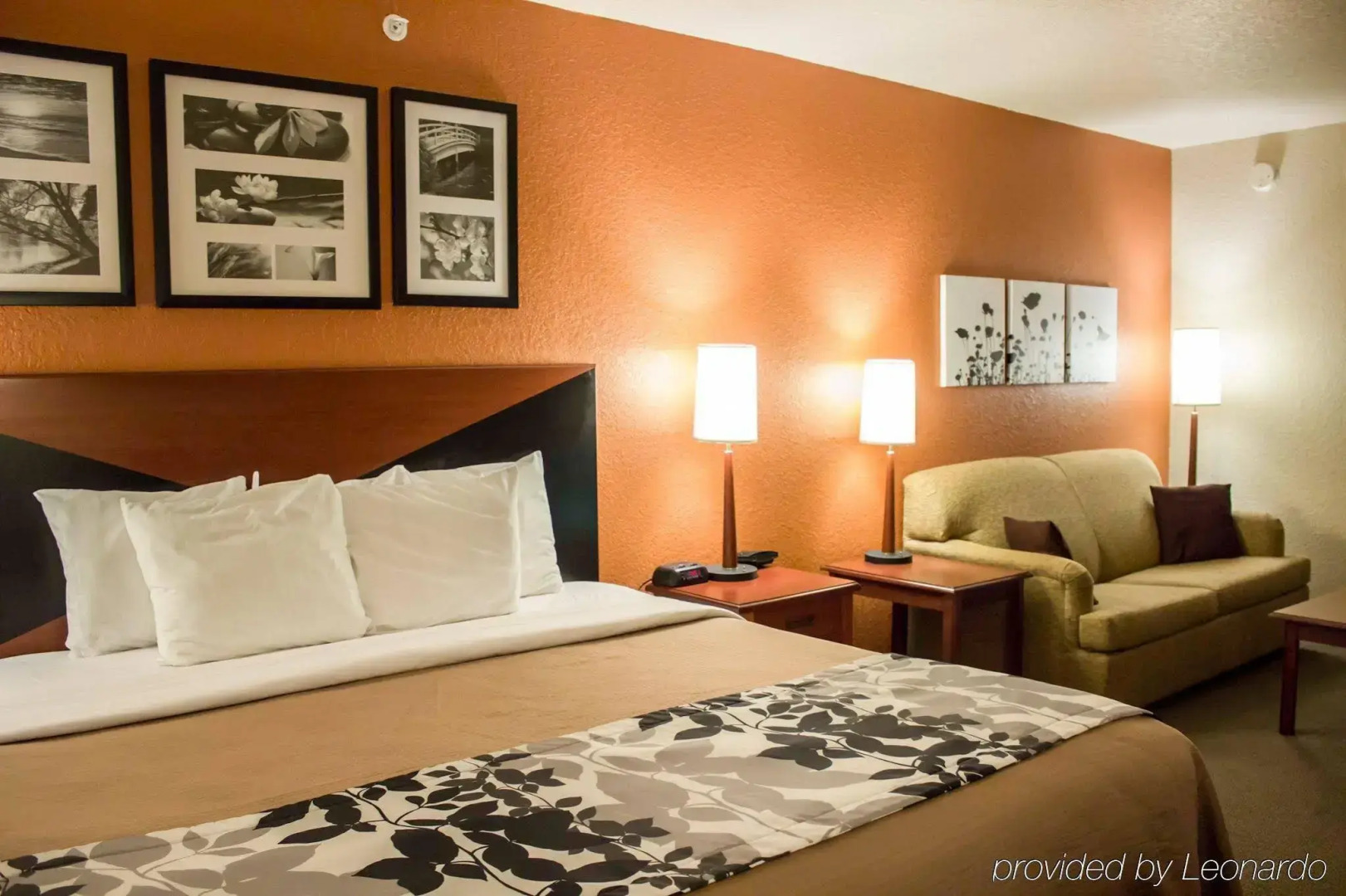 Sleep Inn and Suites - Ocala / Belleview