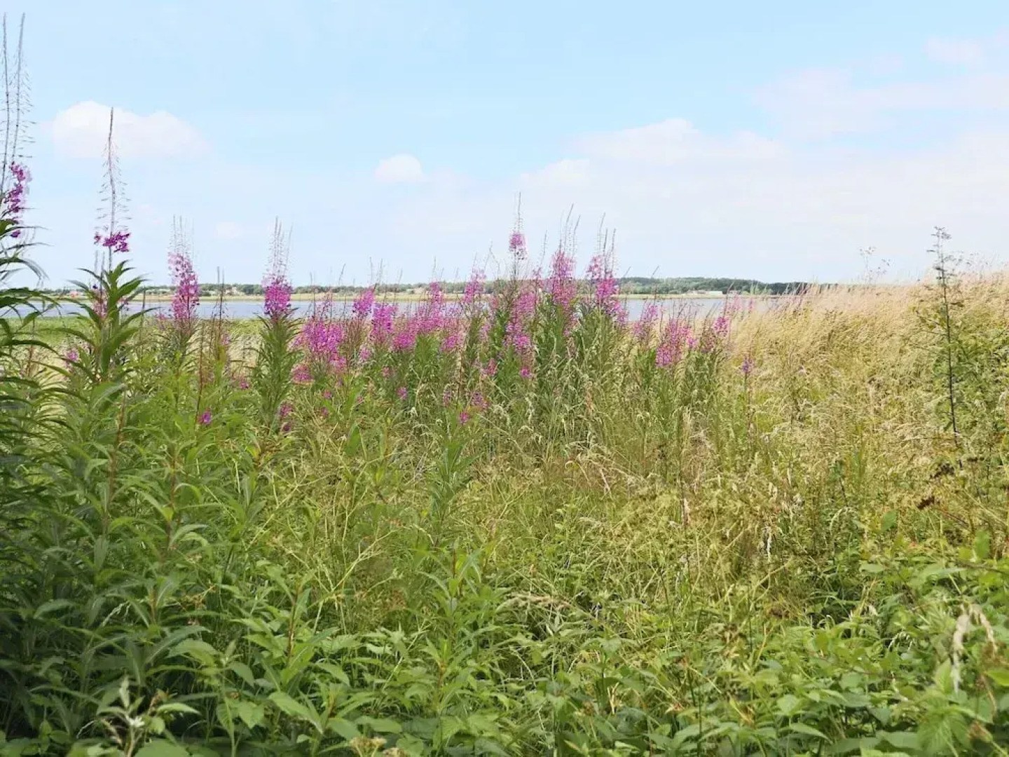 4 Star Holiday Home in Varberg