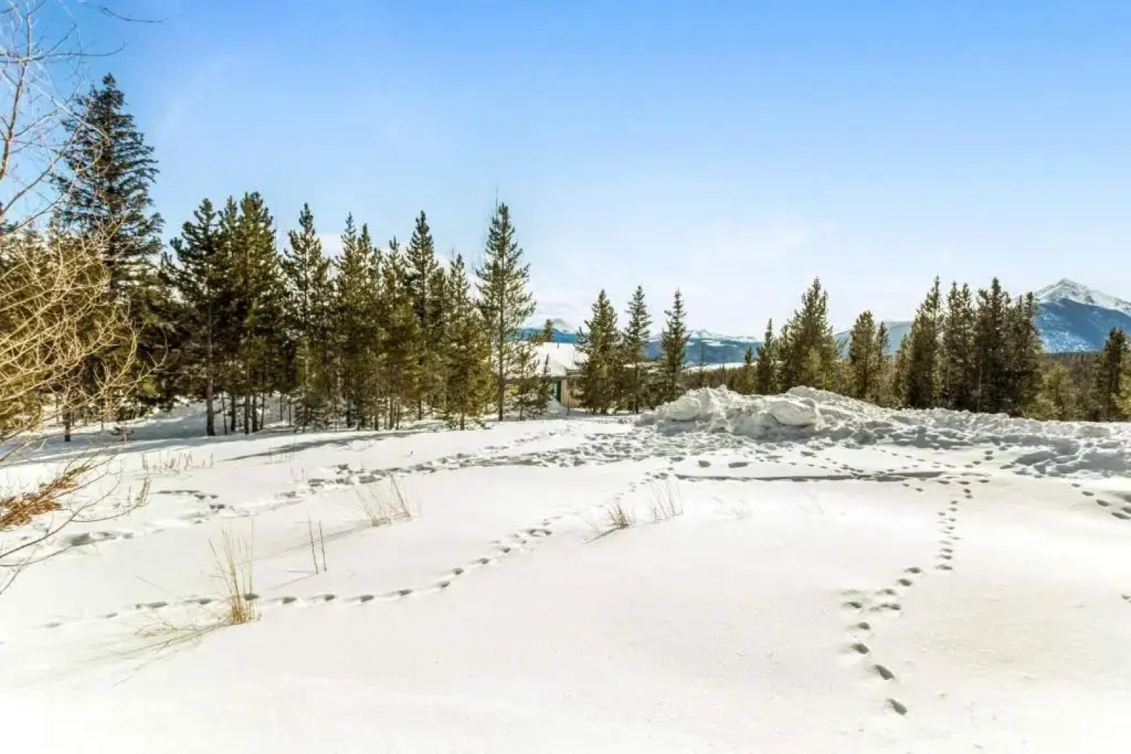 Snowscape 06 - Wildernest