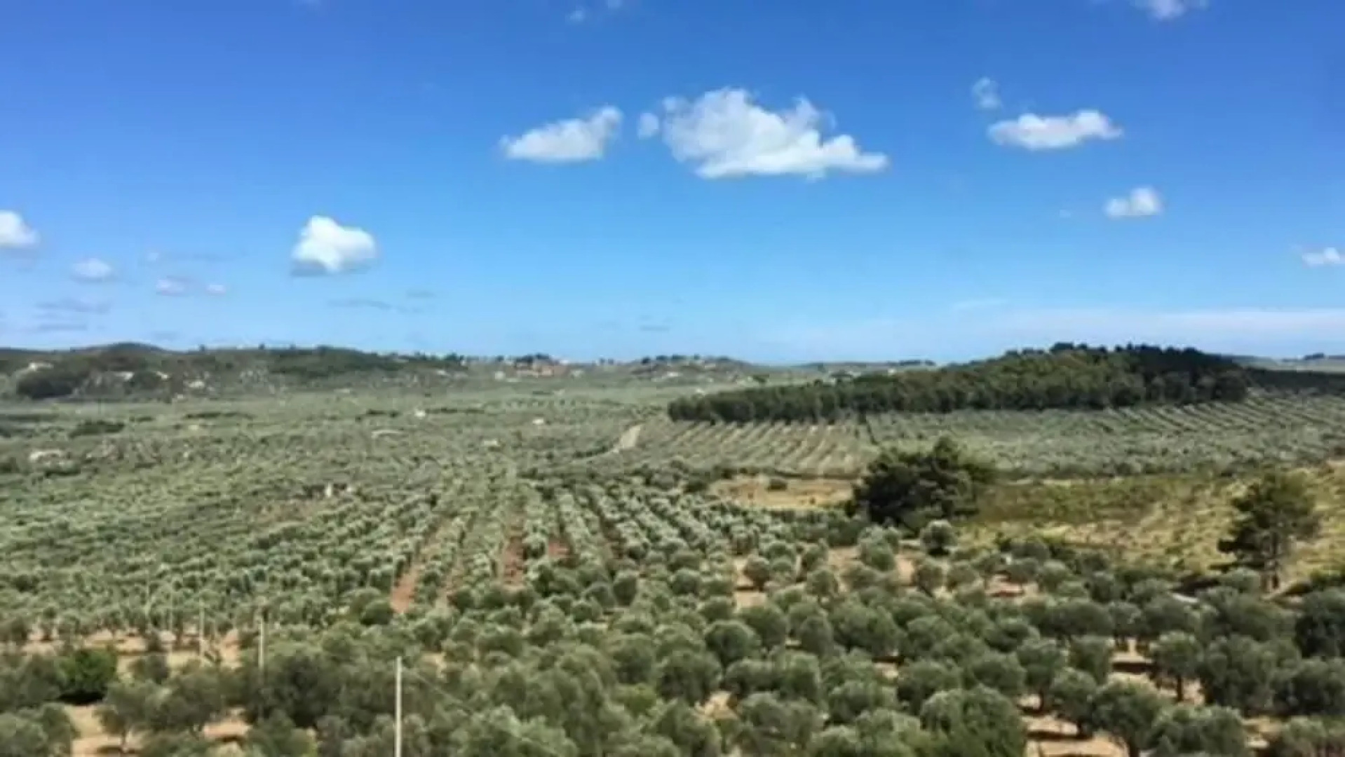 Valle della Corte Country House