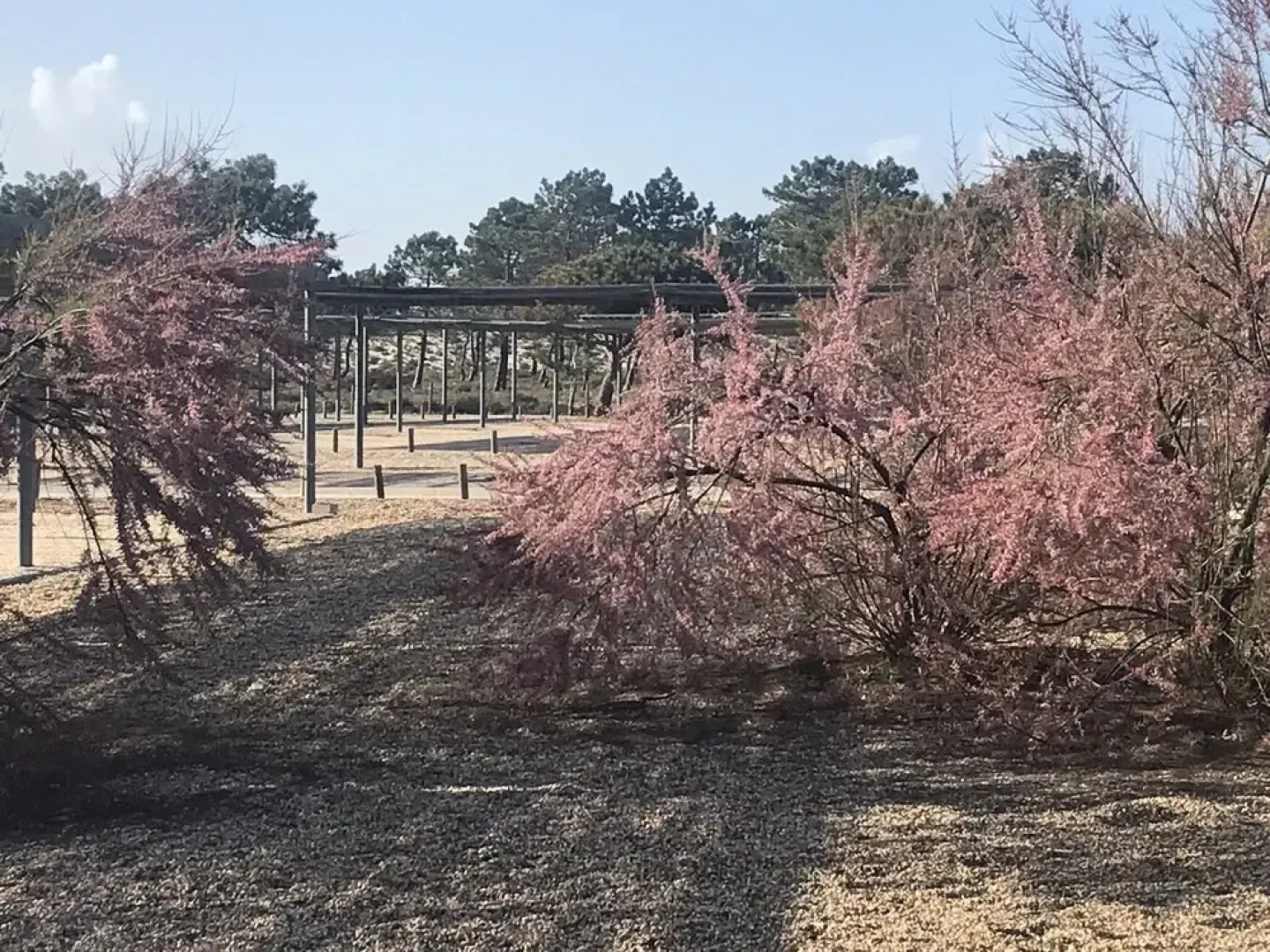 Studio in Possanco, With Enclosed Garden - 3 km From the Beach