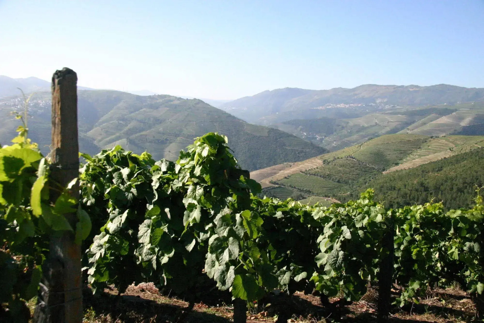 Quinta Nova Winery House - Relais & Châteaux