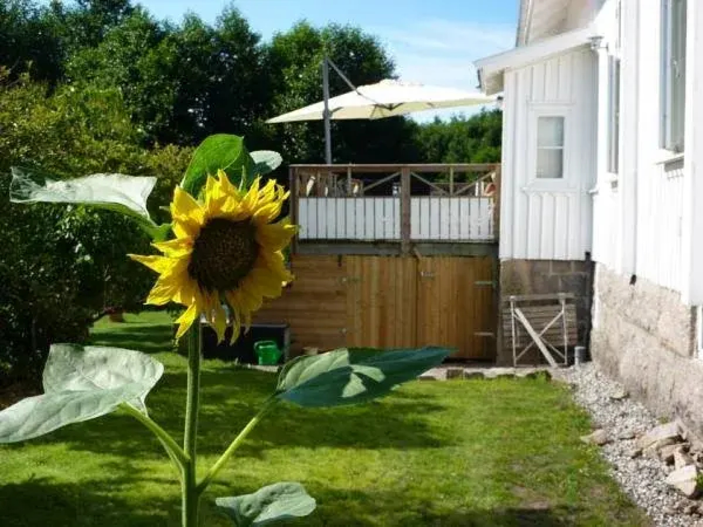 Rosenhill Bed & Breakfast
