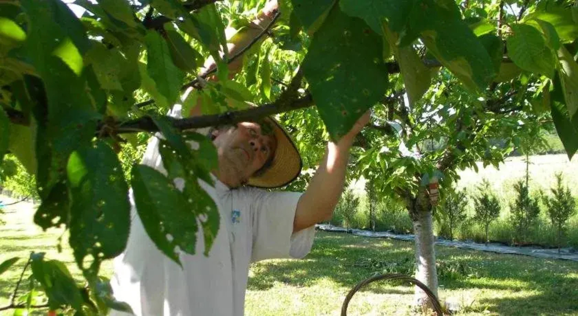 Chambre d'hôtes Mas Castel