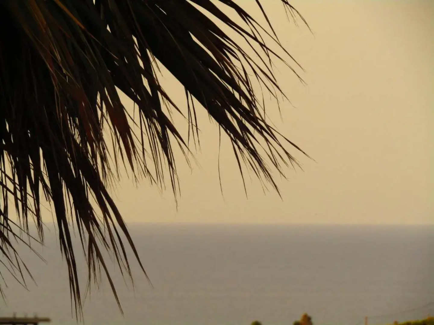 Aristos Apartments & Suites