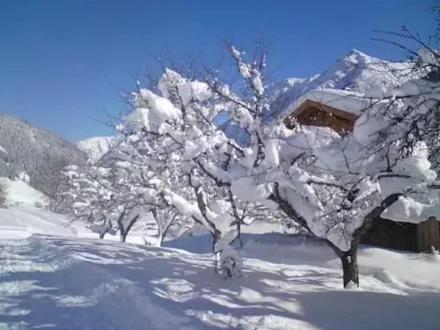 Wohlfühlhotel Berg Heil