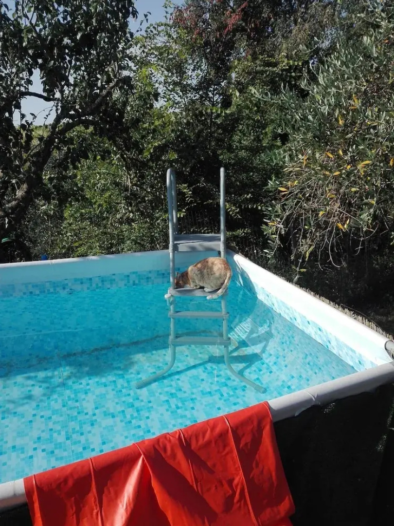 Affittacamere podere romitorio