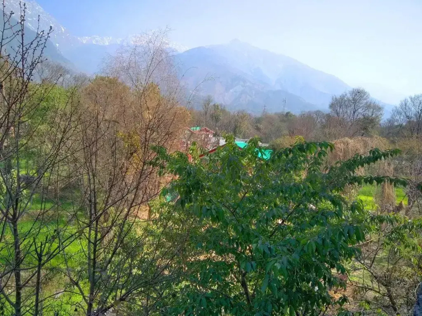 OYO 7026 Highland Village Resort