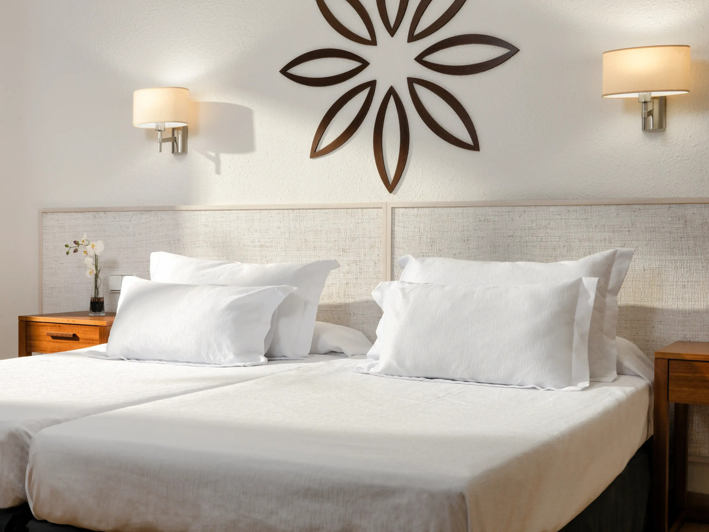 H10 Delfín - Adults Only