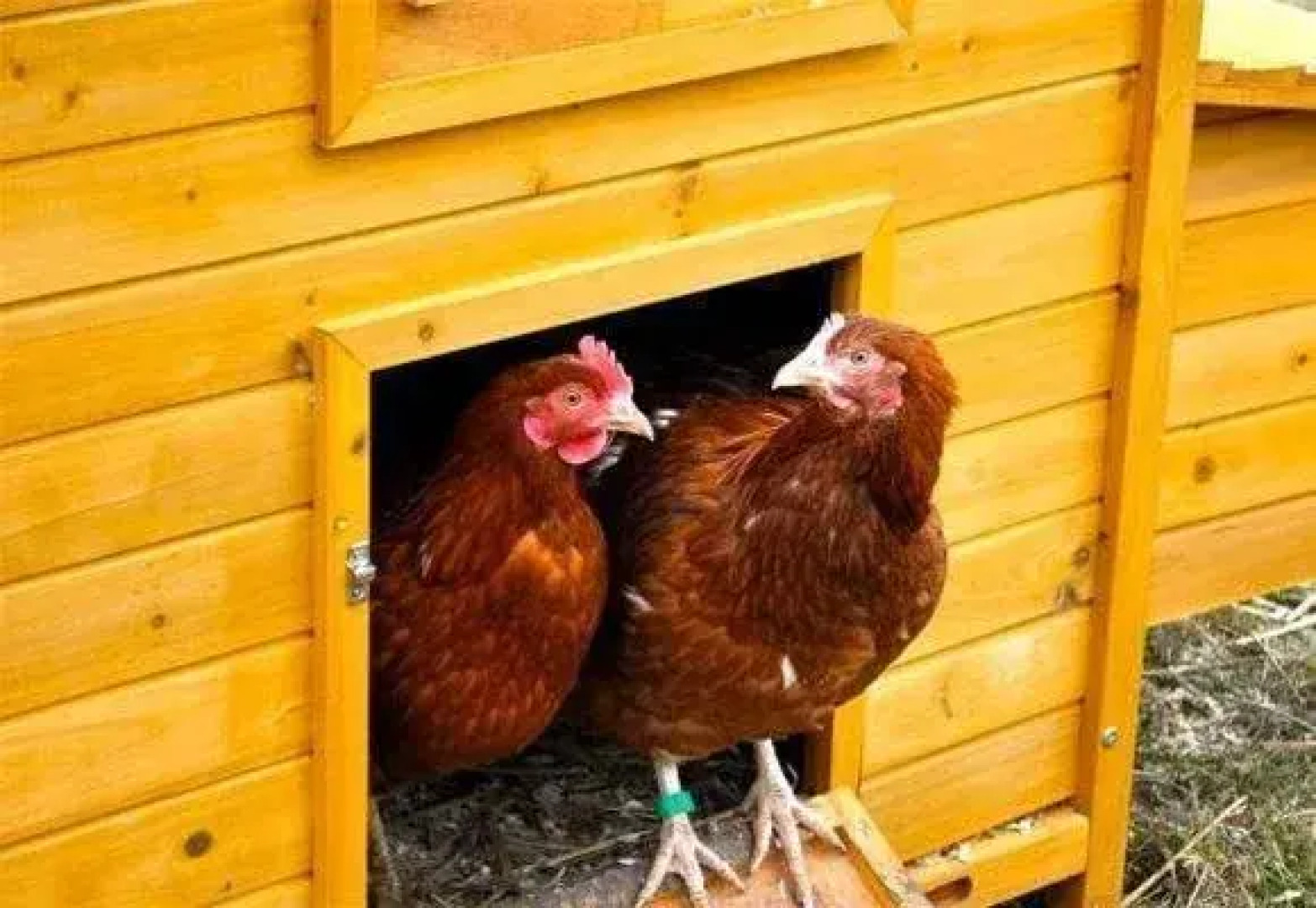 Capland Farm Bed and Breakfast