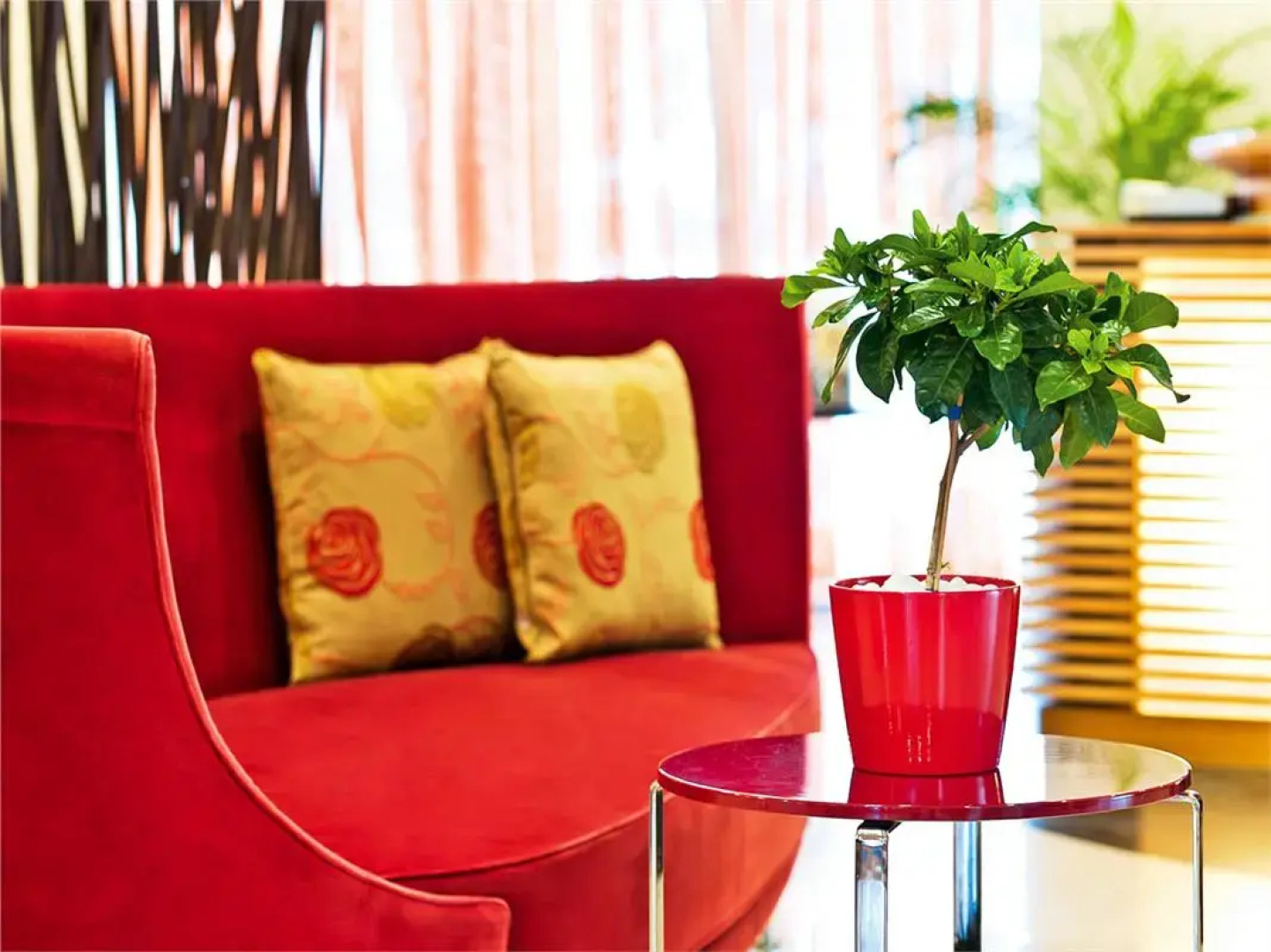 Giannoulis Santa Marina Plaza - Adults Only