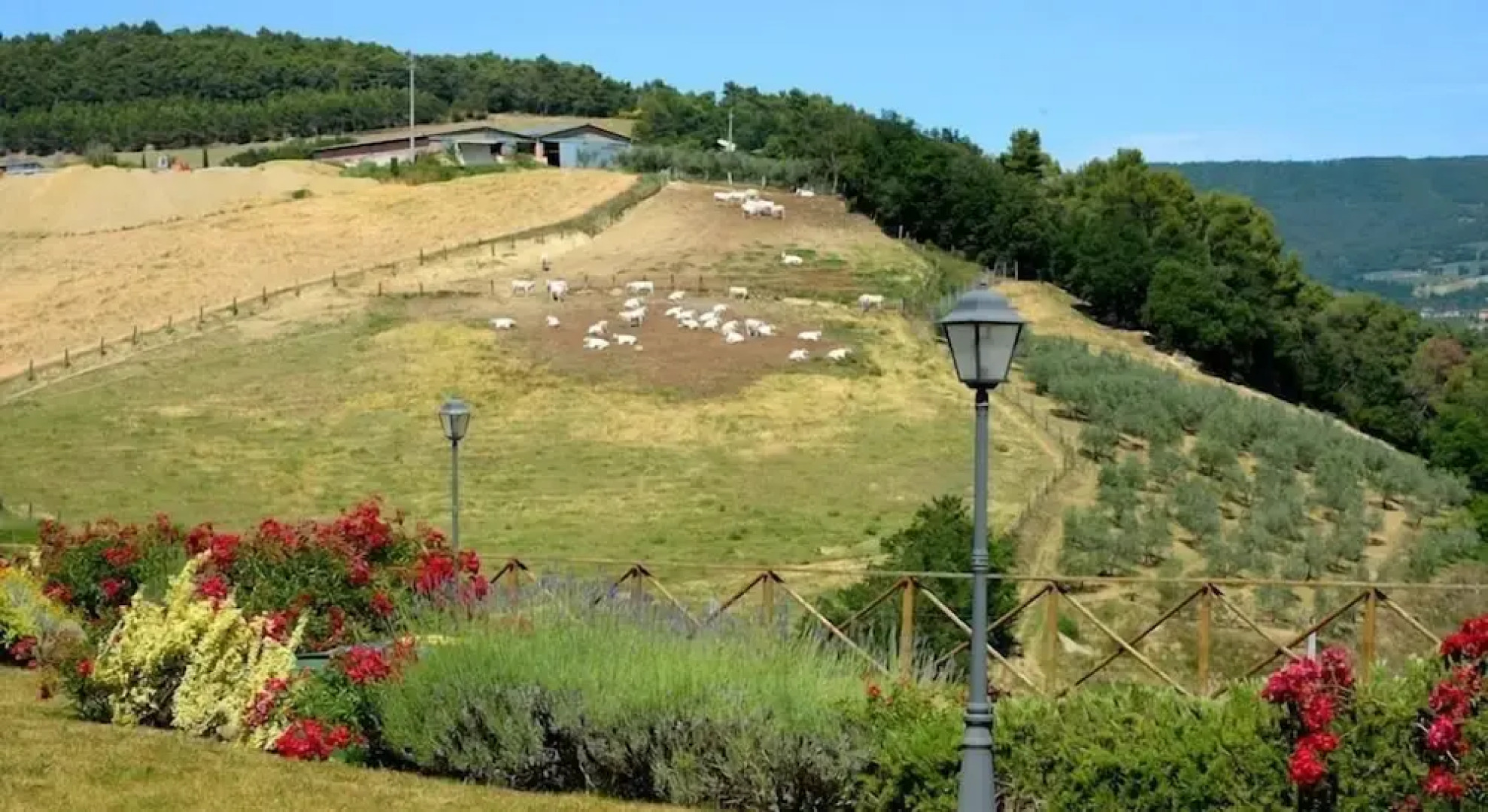 Agr. Casale Antico Fattoria Luchetti