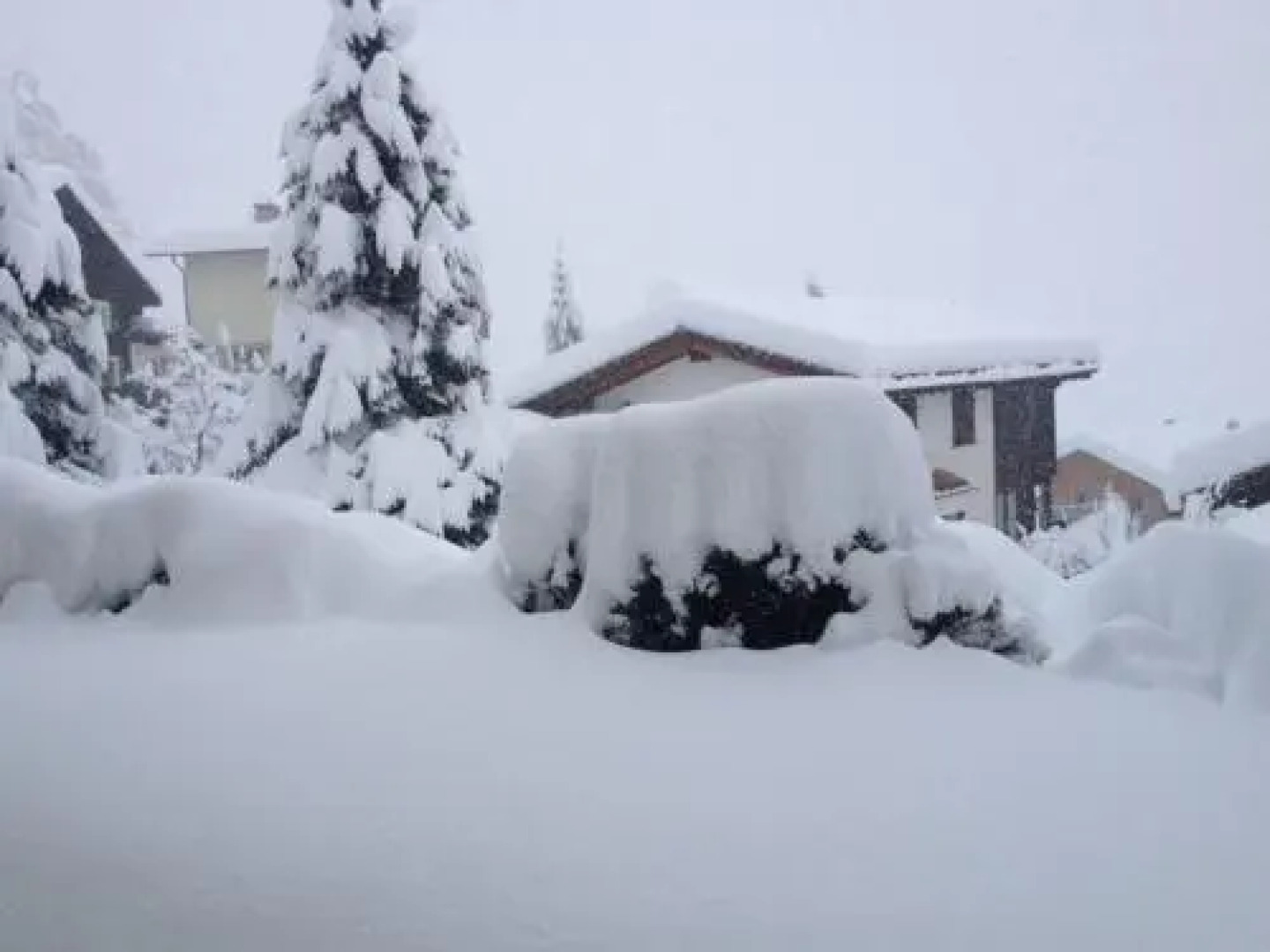 Apartment Plauncas Acletta