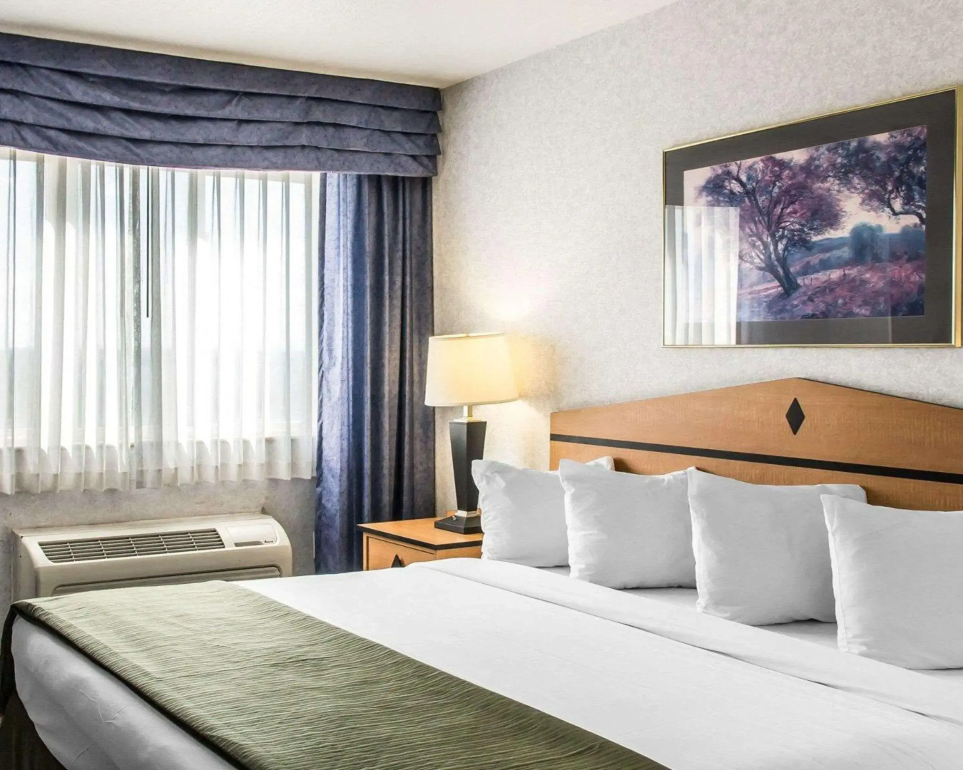 Quality Inn & Suites Denver Airport - Gateway Park