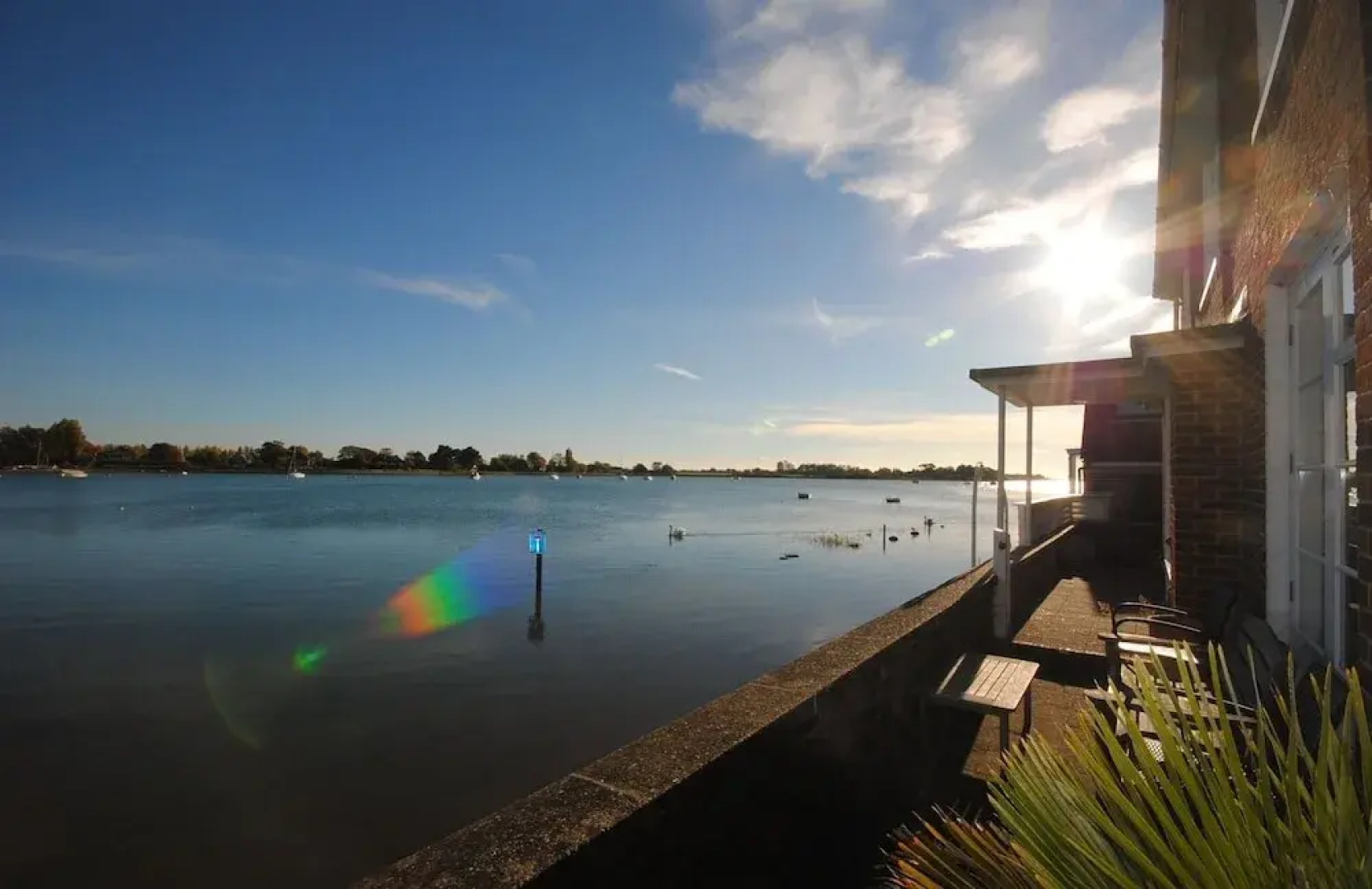 Oysters, Bosham 25299