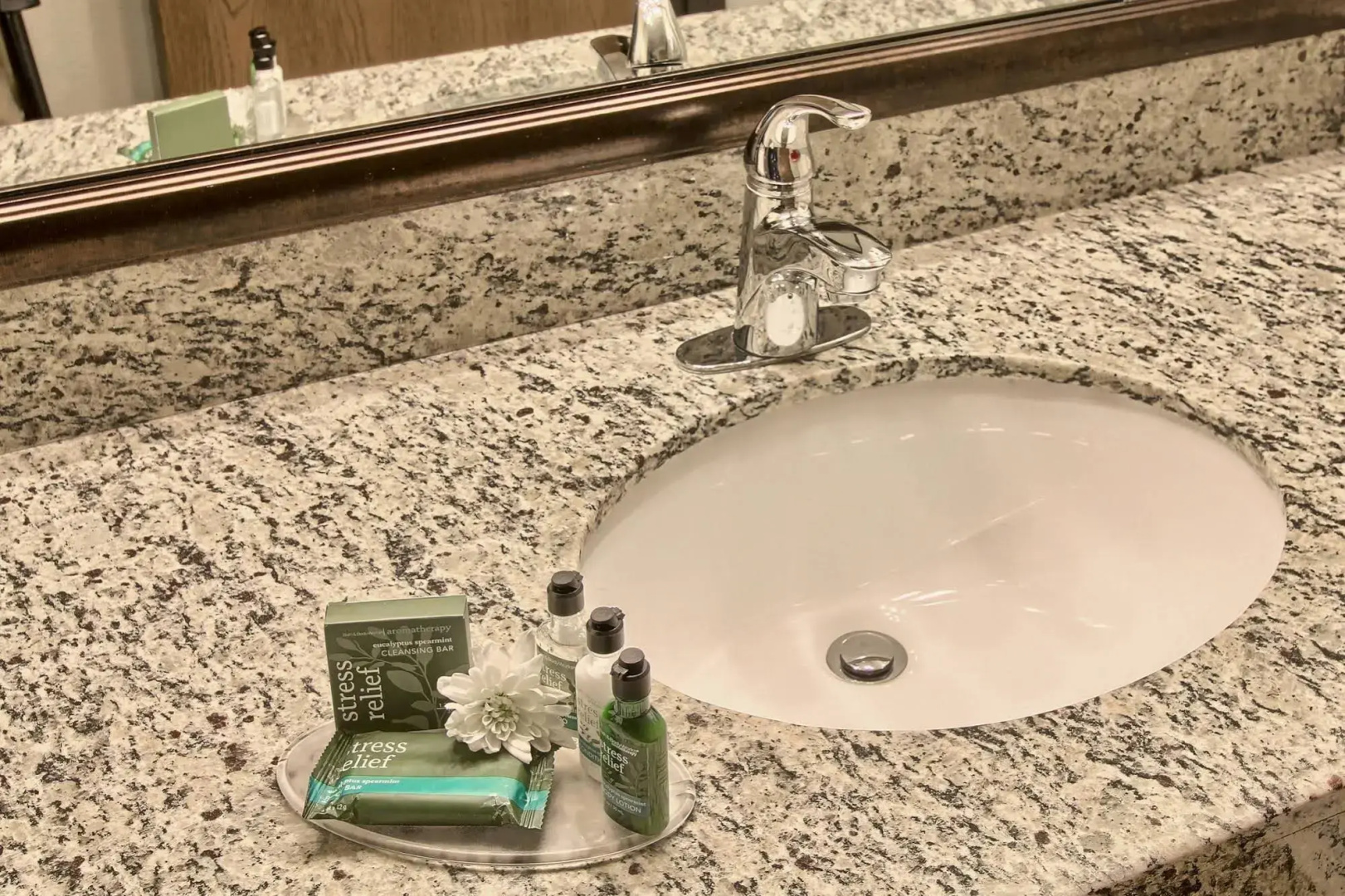 Blossom Hotel & Suites Traverse City
