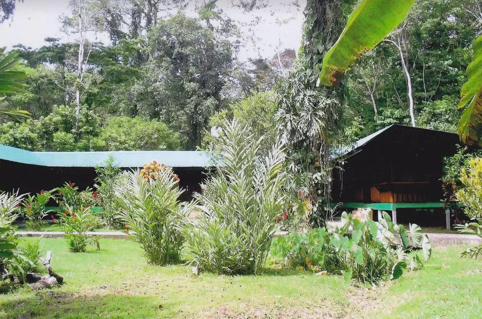 Pizote Lodge