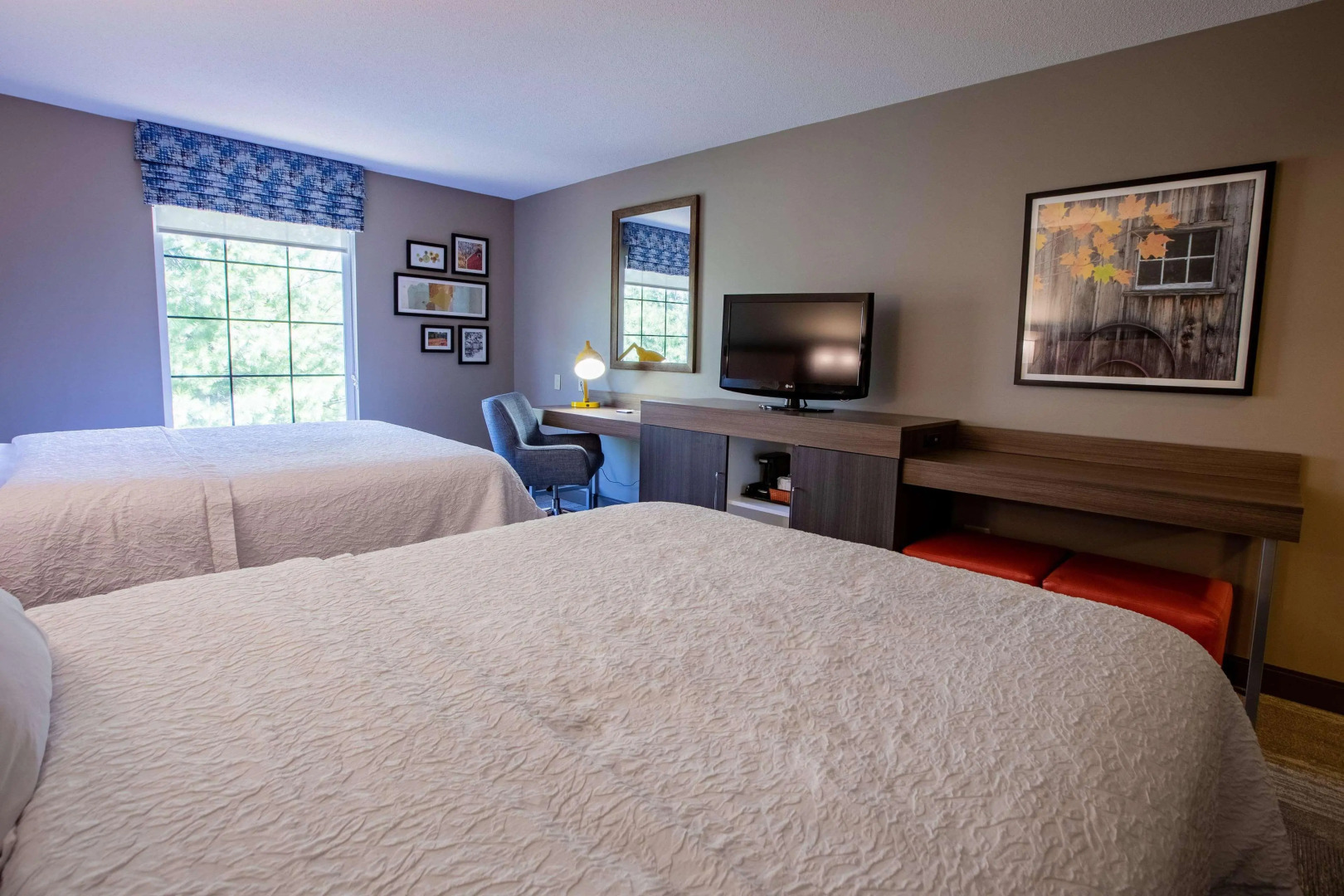 Hampton Inn Hadley-Amherst Area