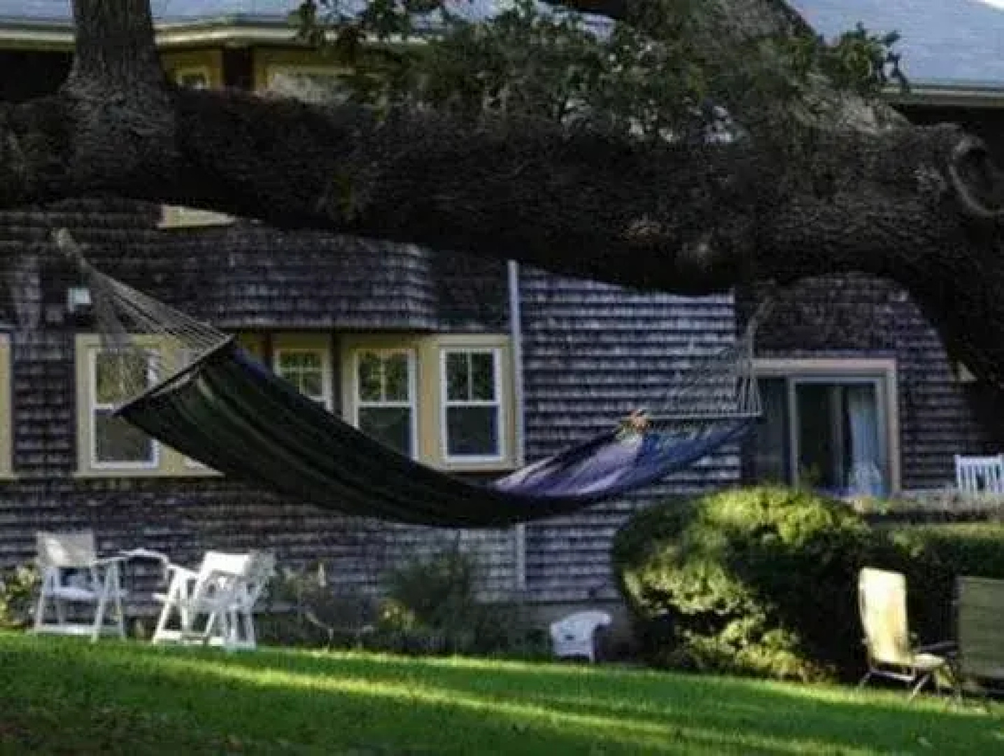 The Nobnocket Boutique Inn( Ex. The Doctor's House)