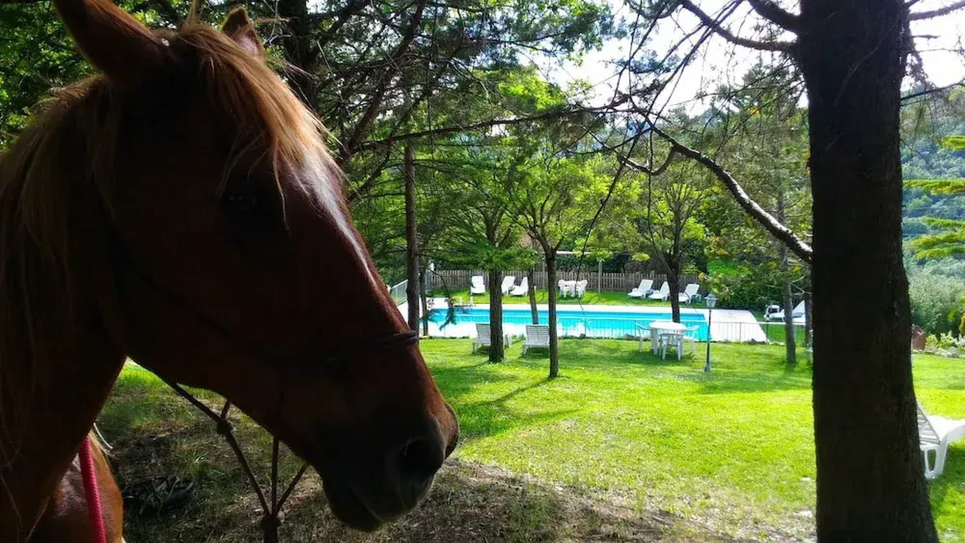 Agriturismo Calcinaia sul lago