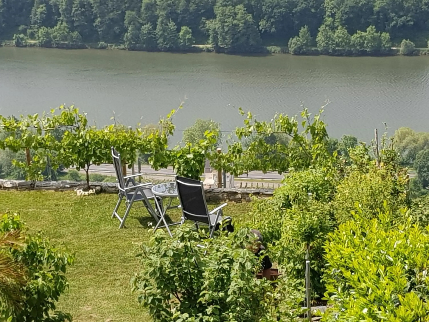 Apartment an der Mosel