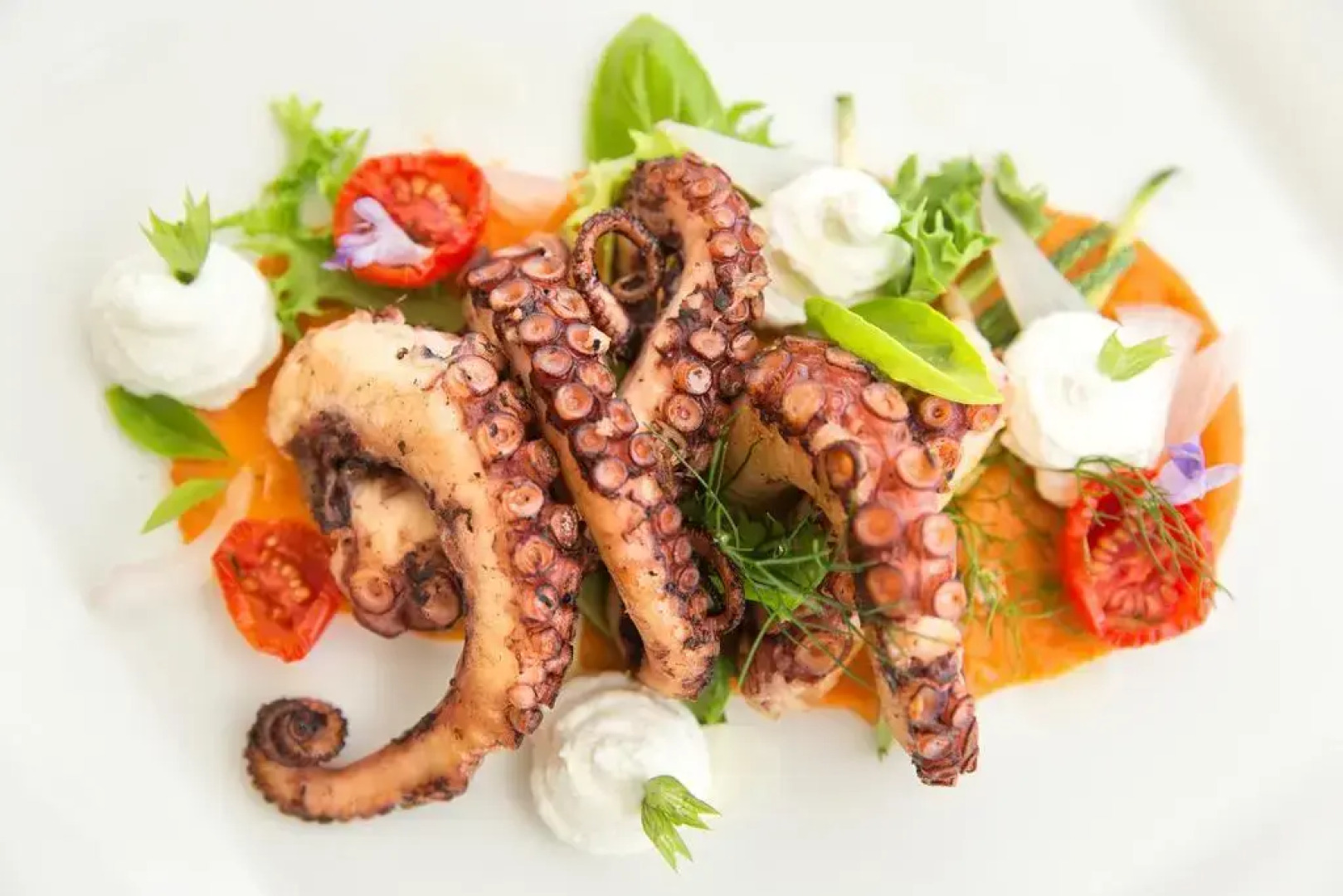 Tenuta Centoporte - Resort Hotel