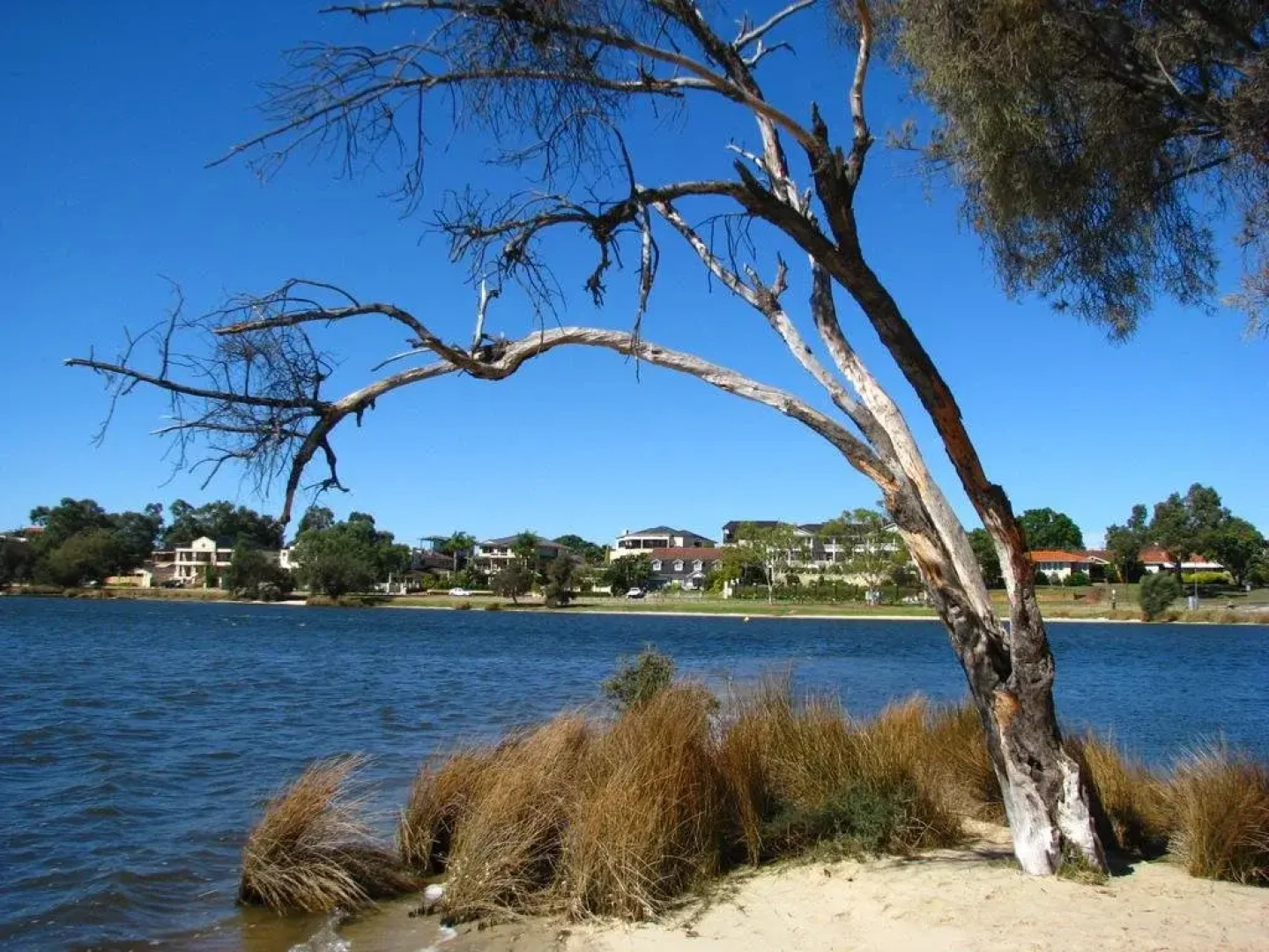 The Goody House Bed & Breakfast