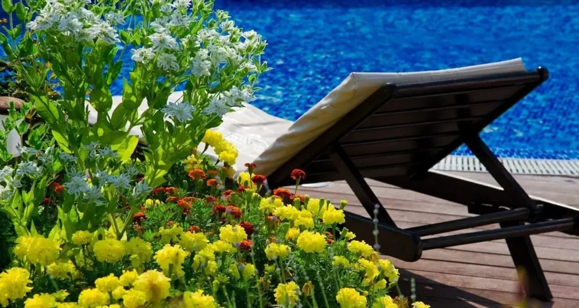 D&C Apartments in Garden of Eden