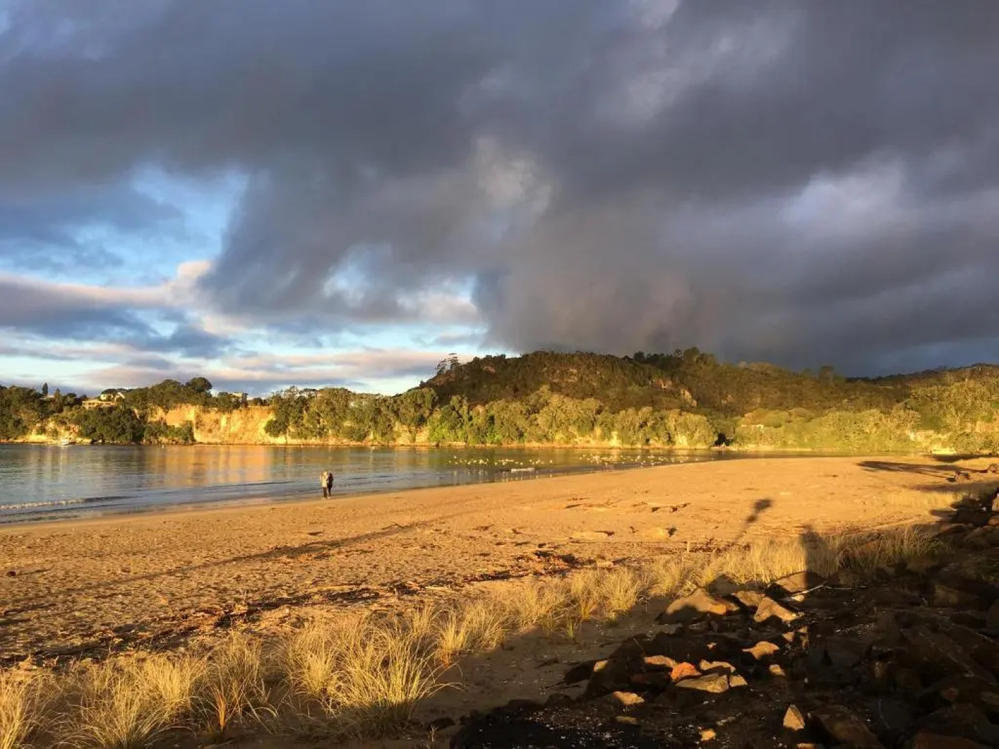 Waterfront Apartments Whitianga