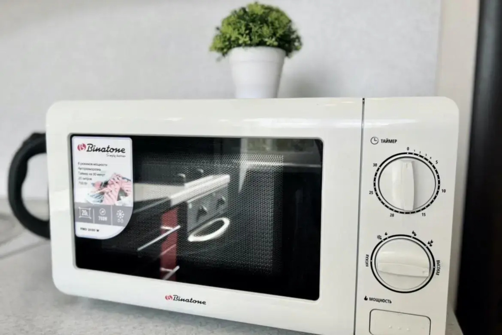 Диван и Чемодан на пр-кте Красный, 100/1