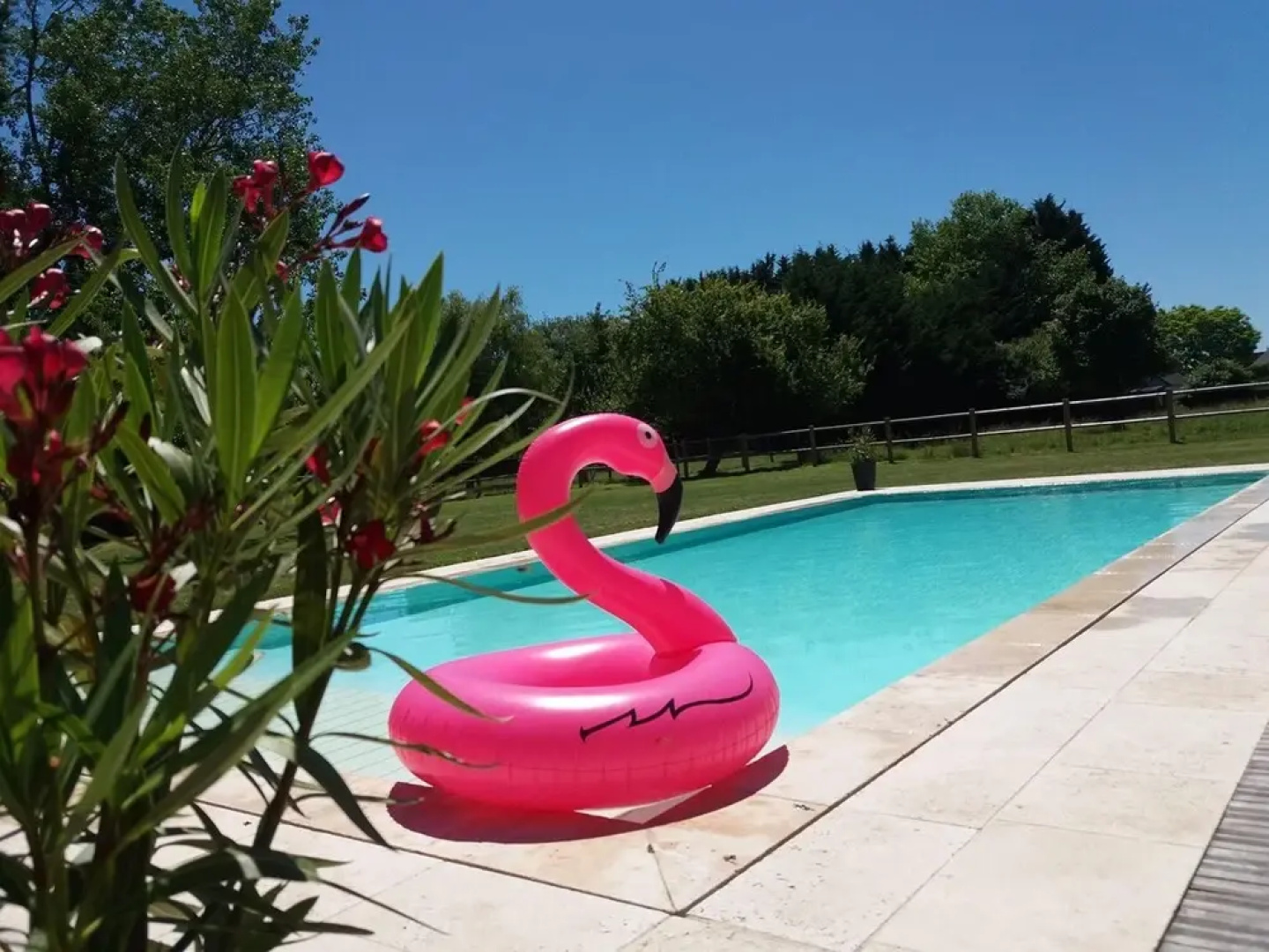 House With one Bedroom in Saint-roch, With Shared Pool, Enclosed Garden and Wifi