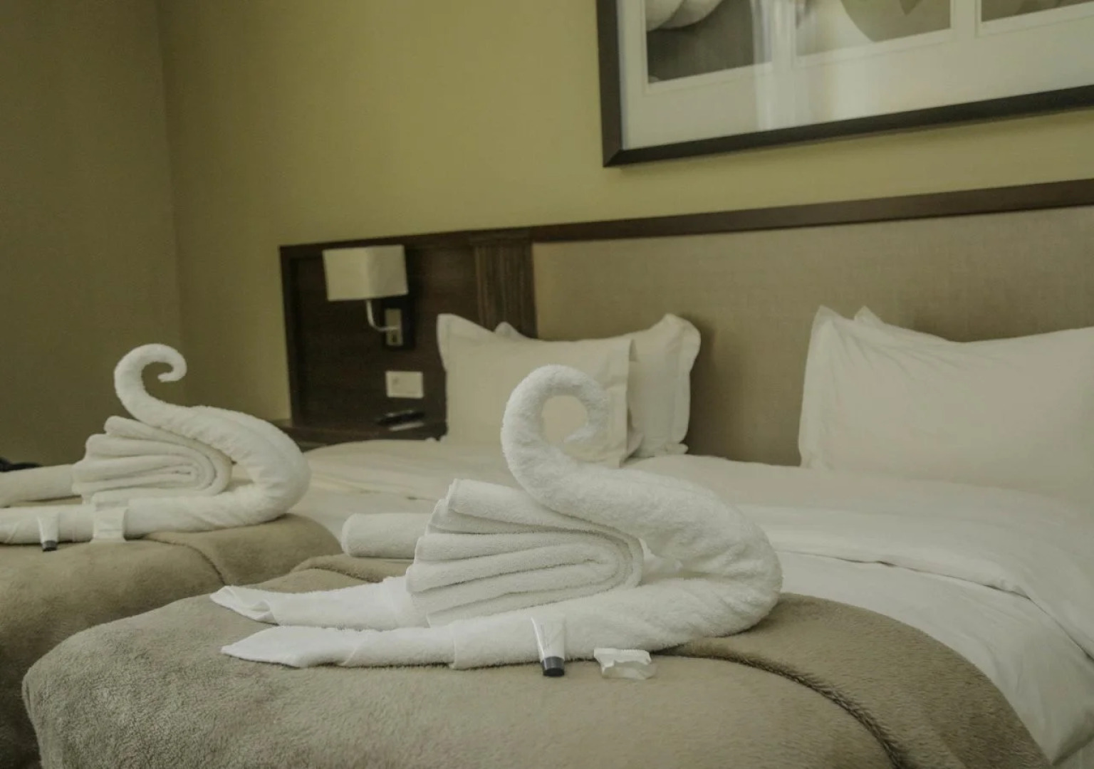 Hotel Pullman Lubumbashi Grand Karavia