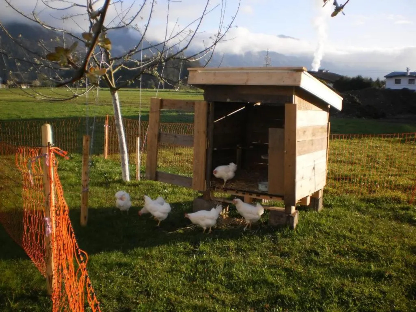 Waldschönau Gaisbacher