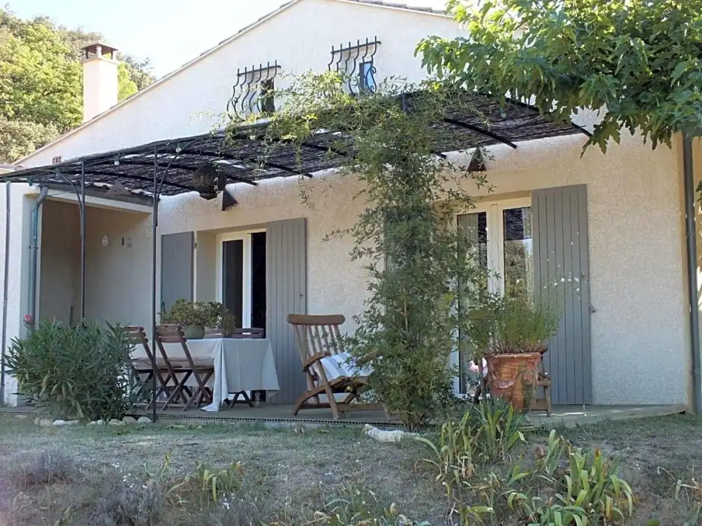 Une Ronce sous le Figuier