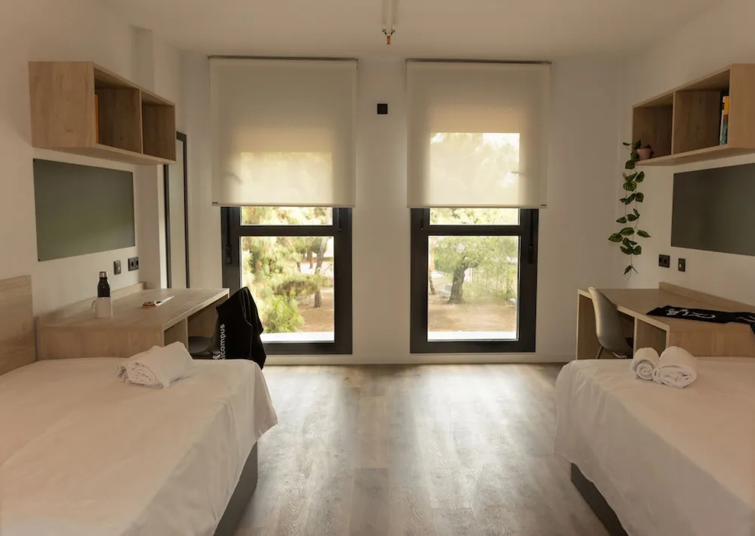 Micampus Burjassot Parque