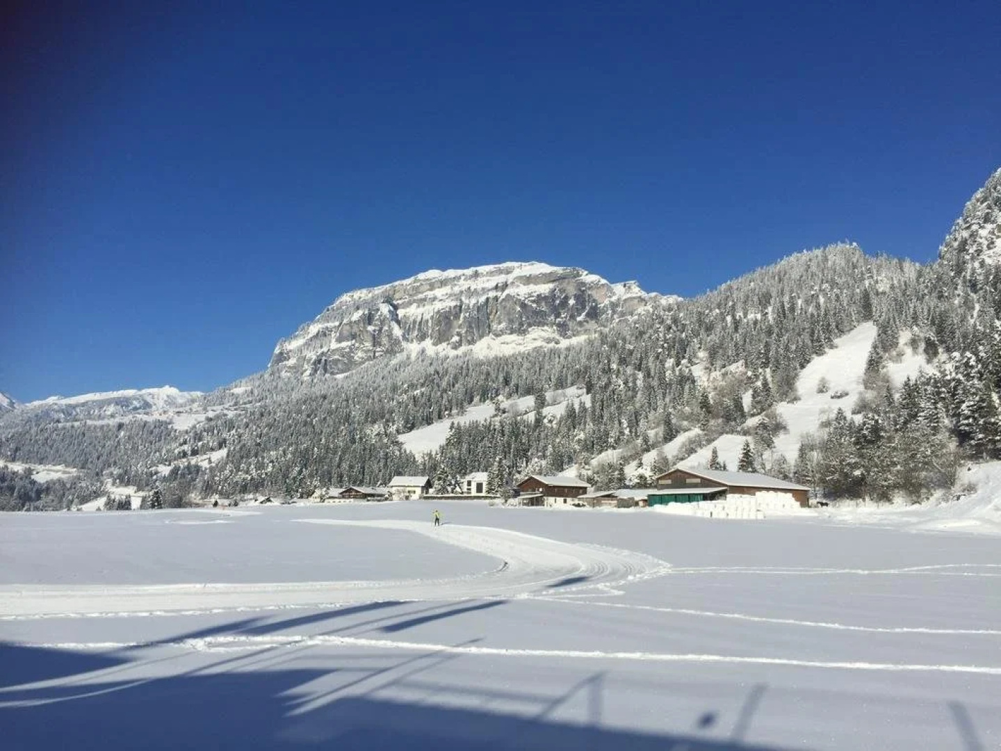 Hotel Ustria Parlatsch