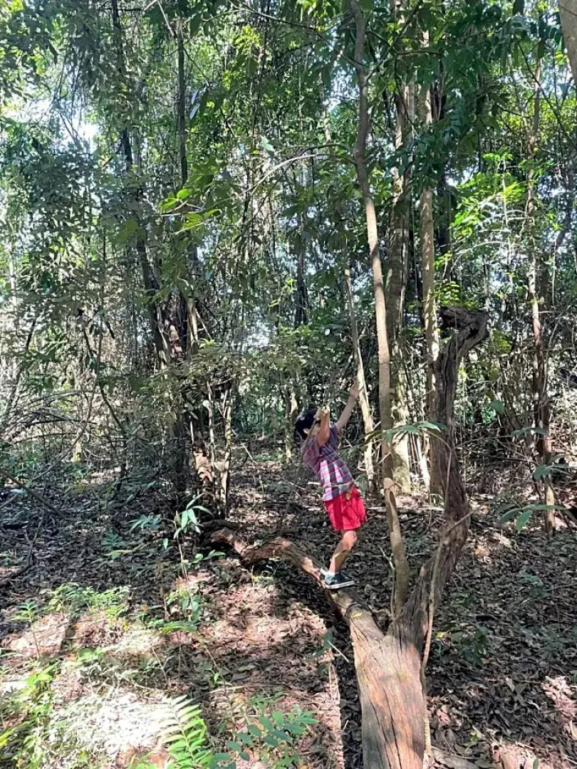 Pousada Carmel Garden