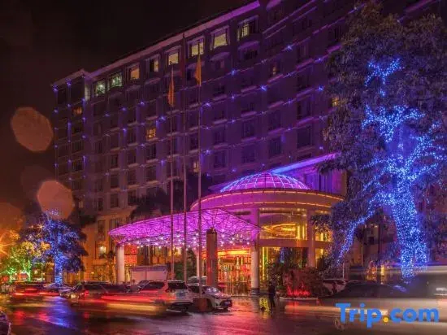 March Flower International Hotel