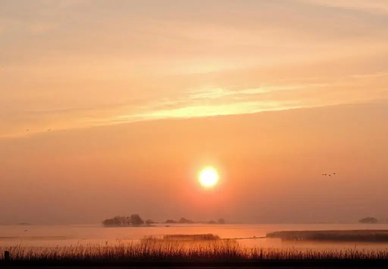 Boutique Hotel De Eilanden