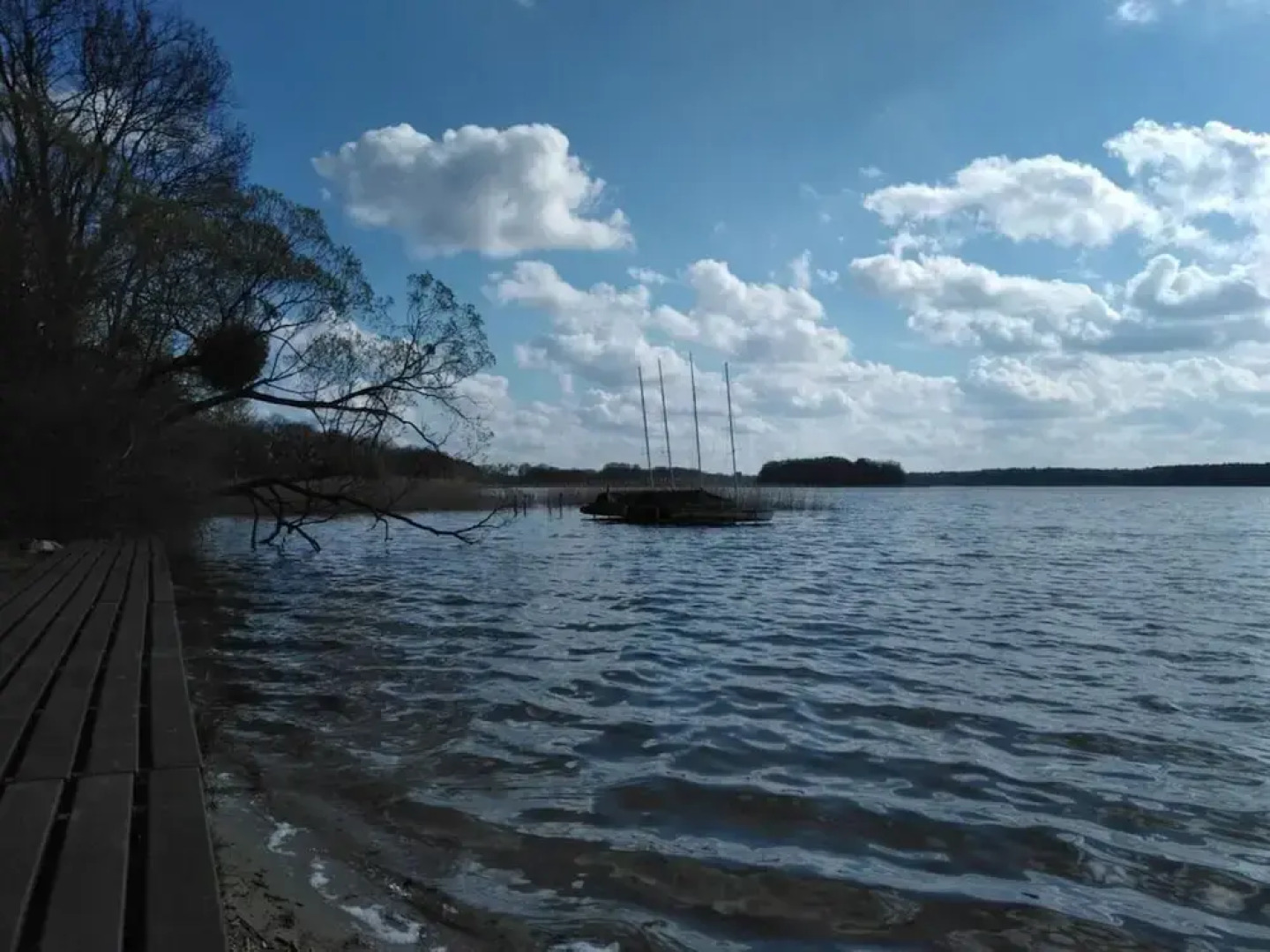 Holiday Home Vogelsang