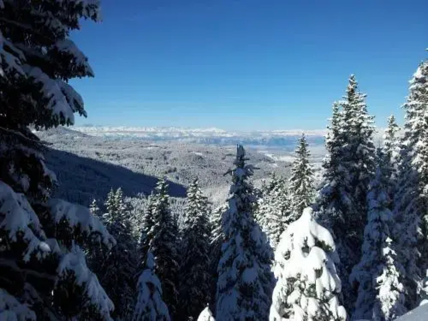 Pension Villa Mahlknecht