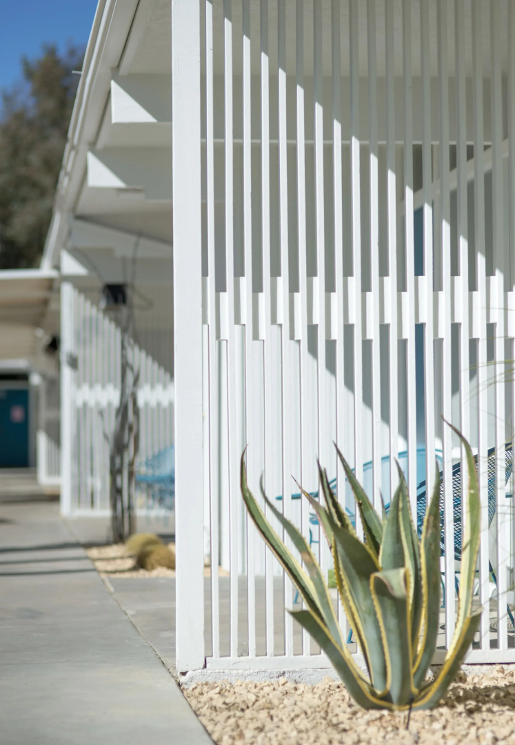 The Monkey Tree by AvantStay – Mid-Century Modern Oasis with Pool