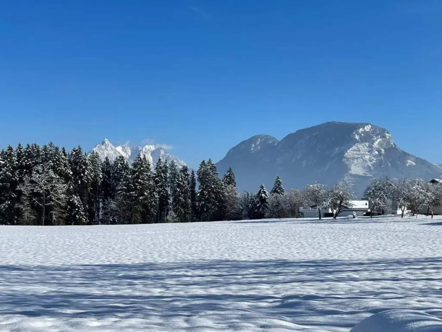 Apartment Spitzenblick