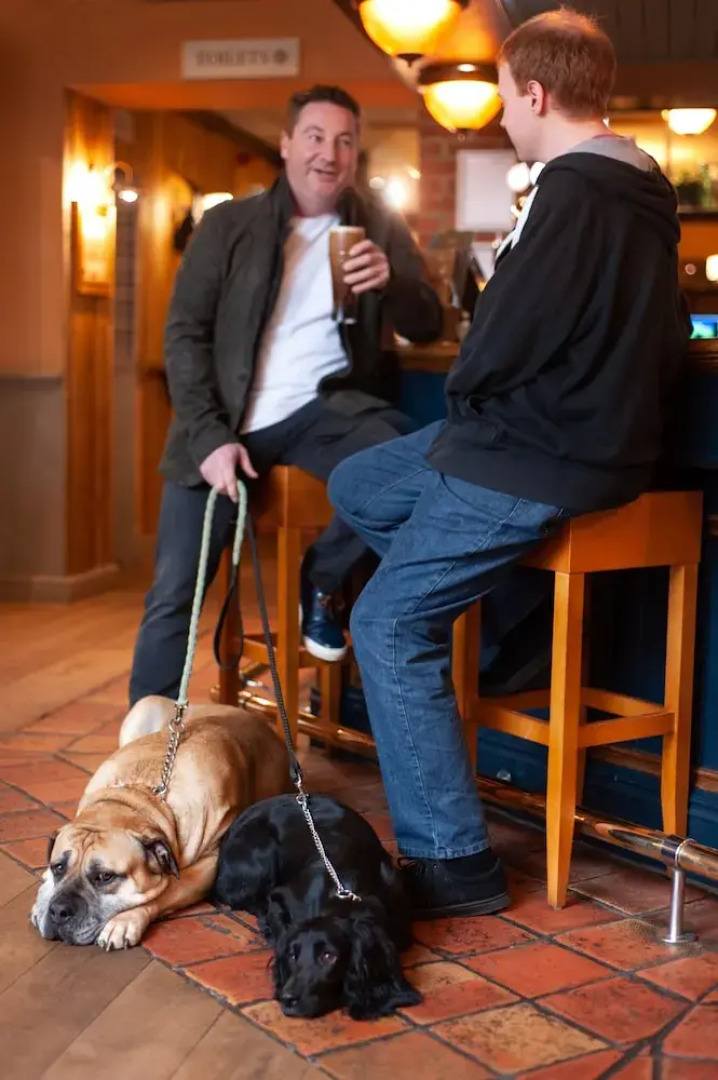 The Kingslodge Inn - The Inn Collection Group