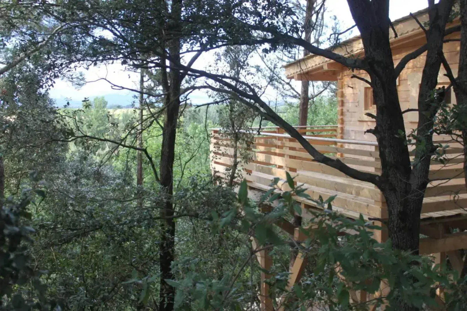 Hotel Les Cabanes Dans Les Bois