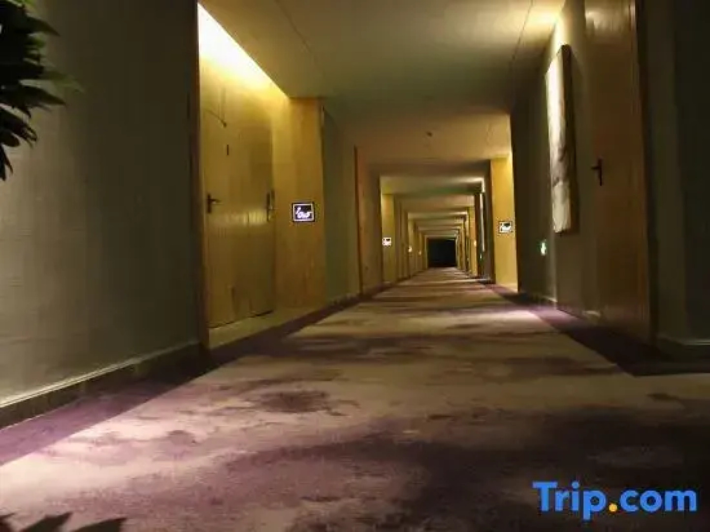 Zixuan Holiday Hotel