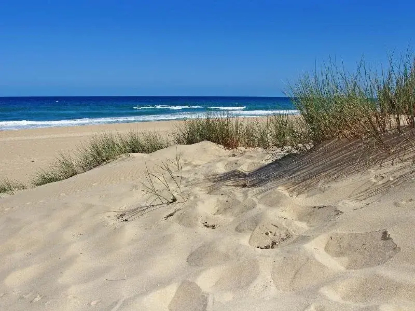 Paradise Holiday Apartments