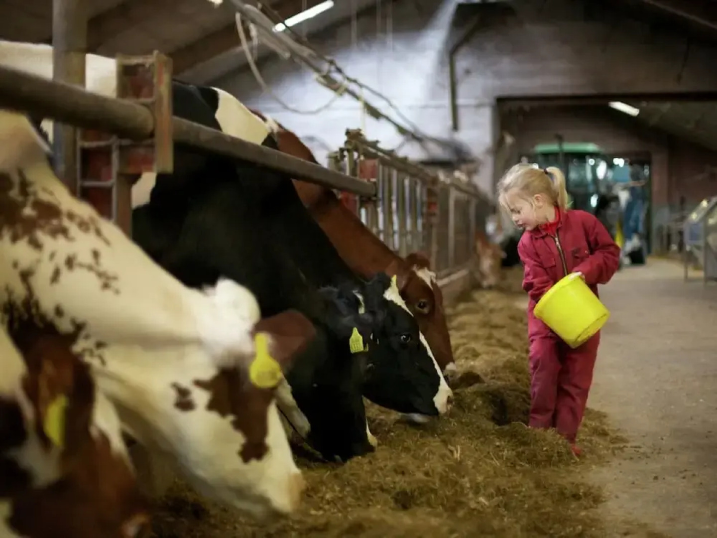Apartment in Netherlands With Scenic Meadows